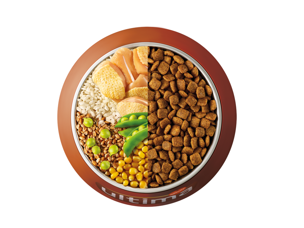 Pollo, riso, cereali integrali e piselli