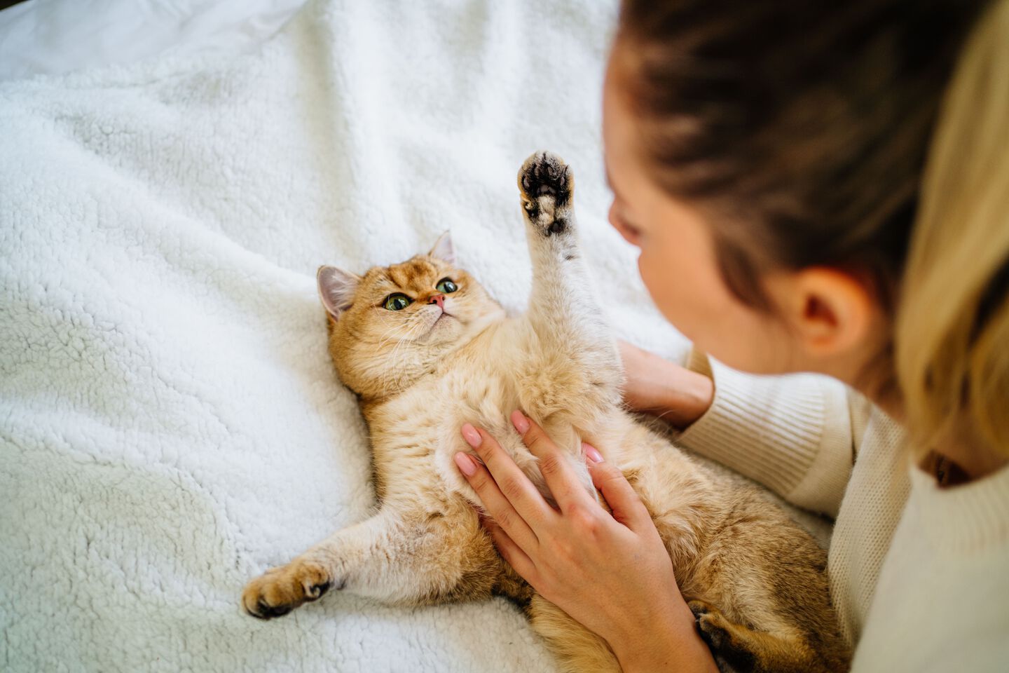 Donna che tiene in braccio il suo gatto, sdraiata su una coperta