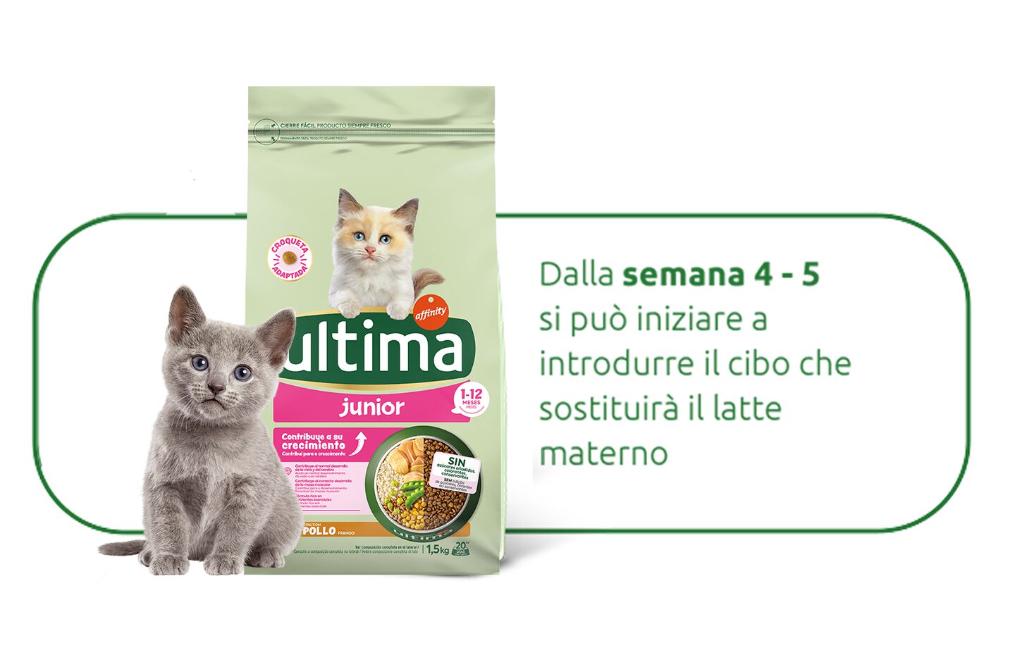 prodotto ultima junior per gatti