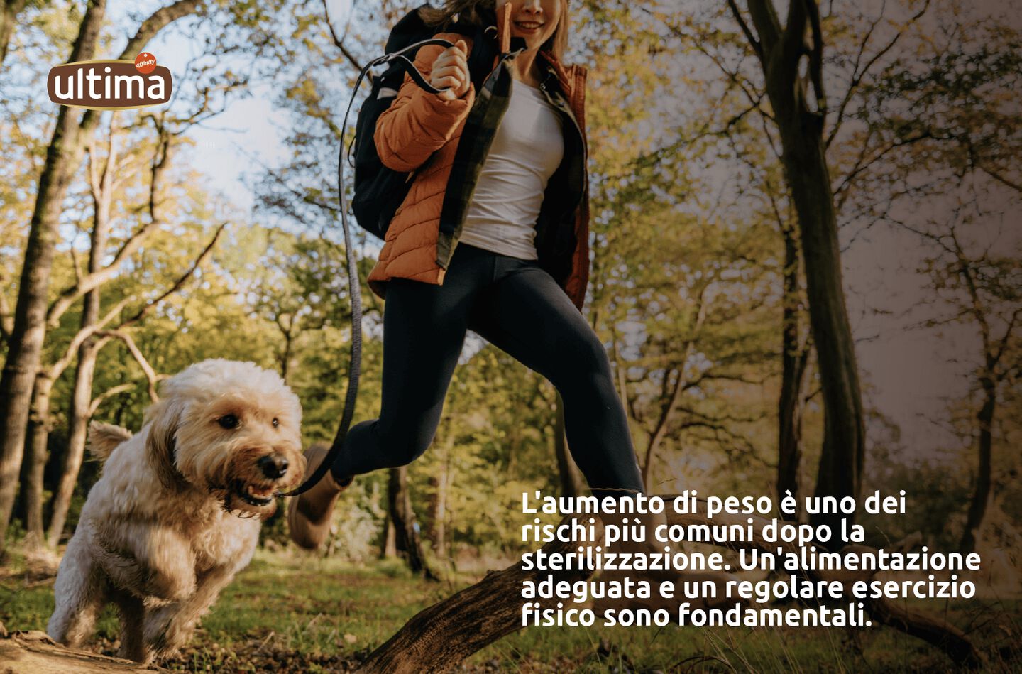 Cibo per cani sterilizzati: &egrave; necessario cambiare la loro alimentazione?