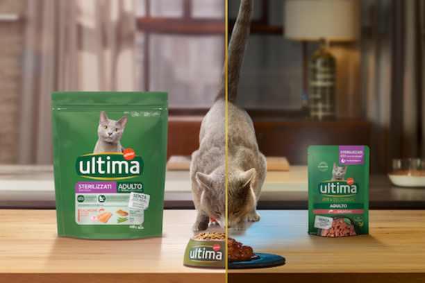 IT Gato esterilizado banner salud placer.png