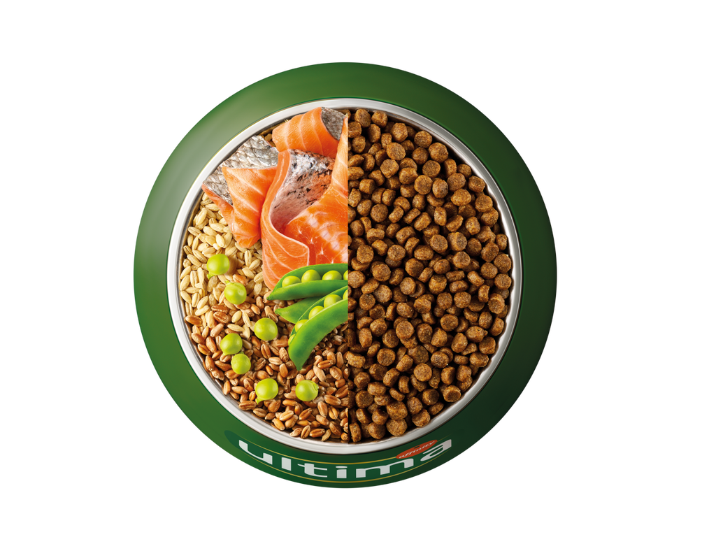 Salmone, orzo, cereali integrali e piselli