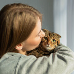 Image Link For Tutto quello che devi sapere sulla salute di un gatto adottato