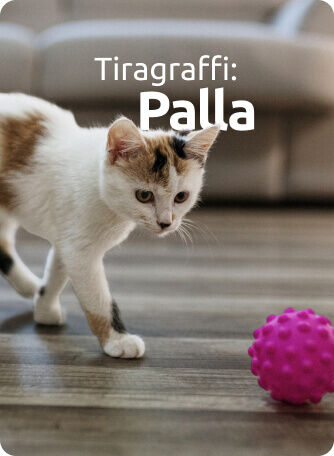 tiragraffi