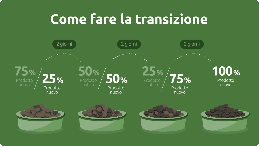 Transizione della dieta del gatto