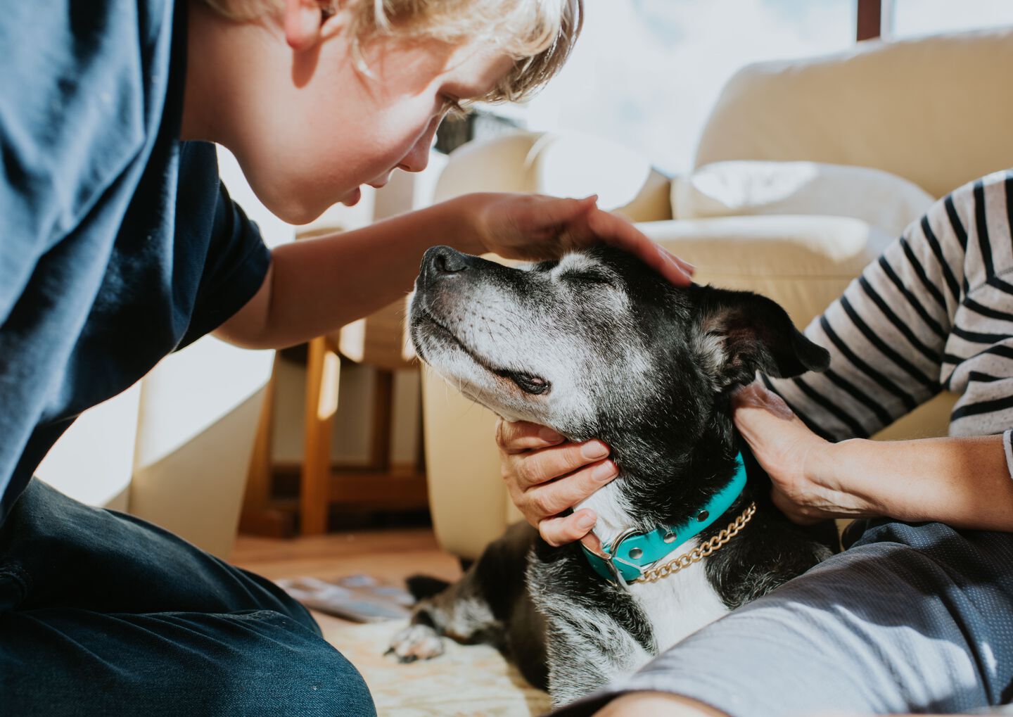 Bambini che accarezzano un cane