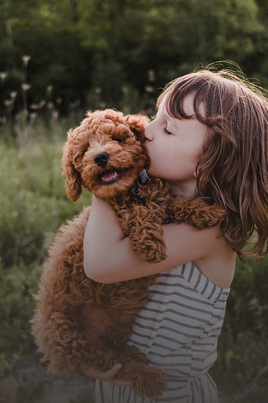 Cachorros Header Desktop.png