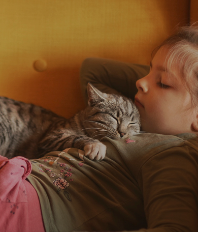 Banner Amor animal.png