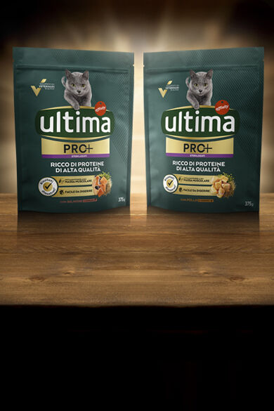 IT Gamma pro Header desktop.jpg
