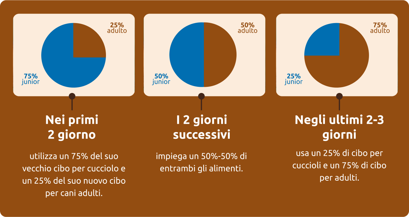 proposta di cambiamento progressivo di alimentazione per il tuo 