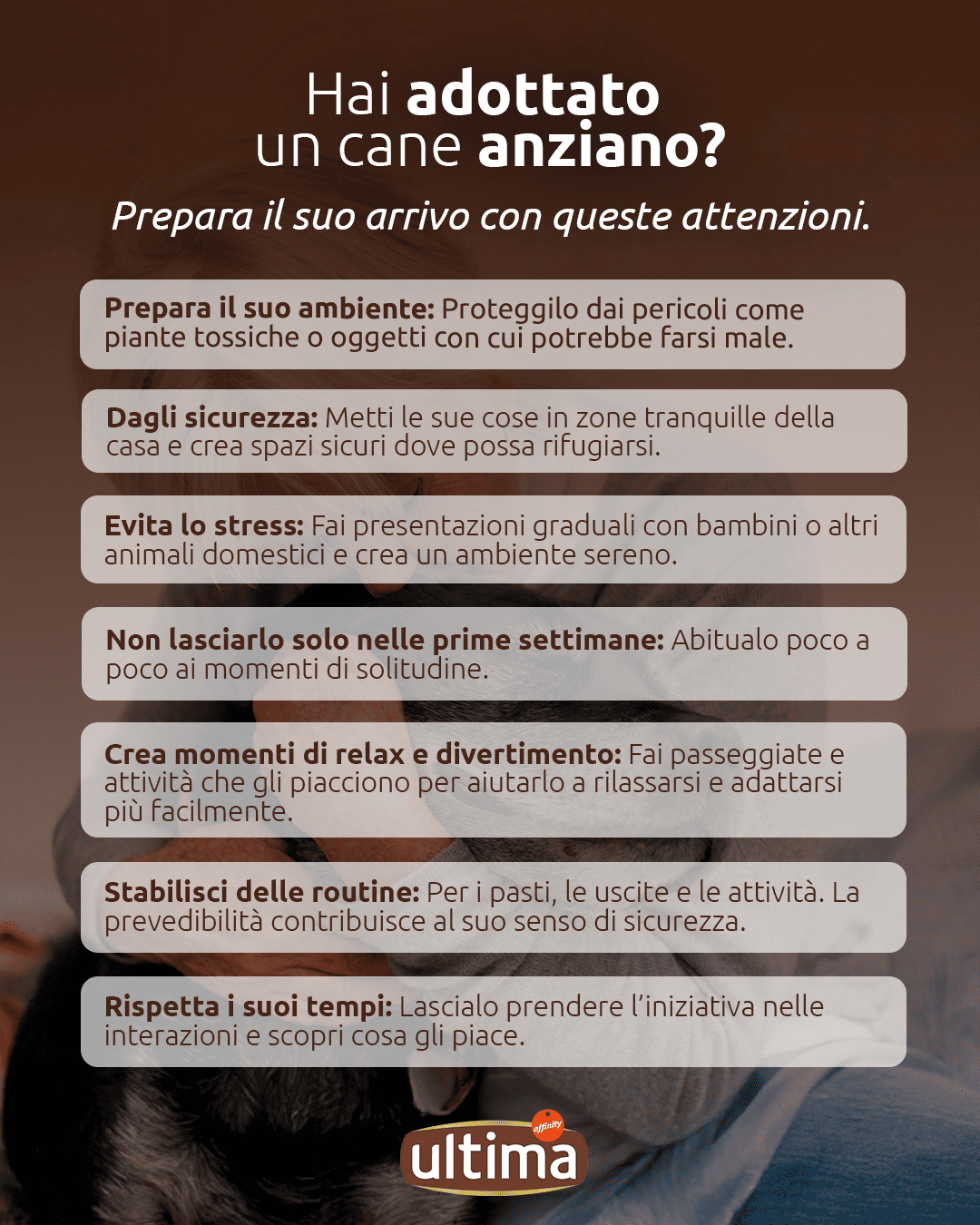 Adozione di cani anziani