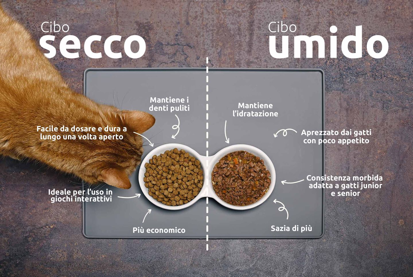 Vantaggi della combinazione di cibo umido e secco
