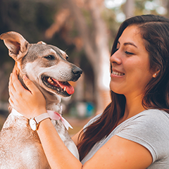 Image Link For Adottare un cane adulto: cosa aspettarsi?