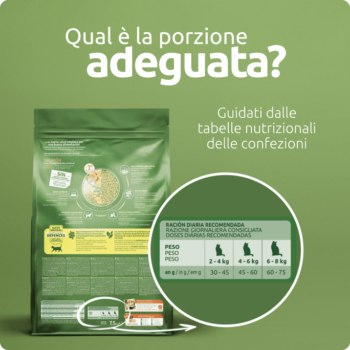 Pozione adeguata di cibo per gatti