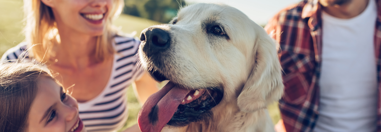 Image Link For I cani pi&ugrave; adatti ai bambini: quali sono?