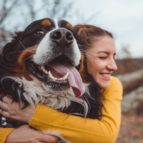 Image Link For Tutto quello che devi sapere sulla salute di un cane adottato