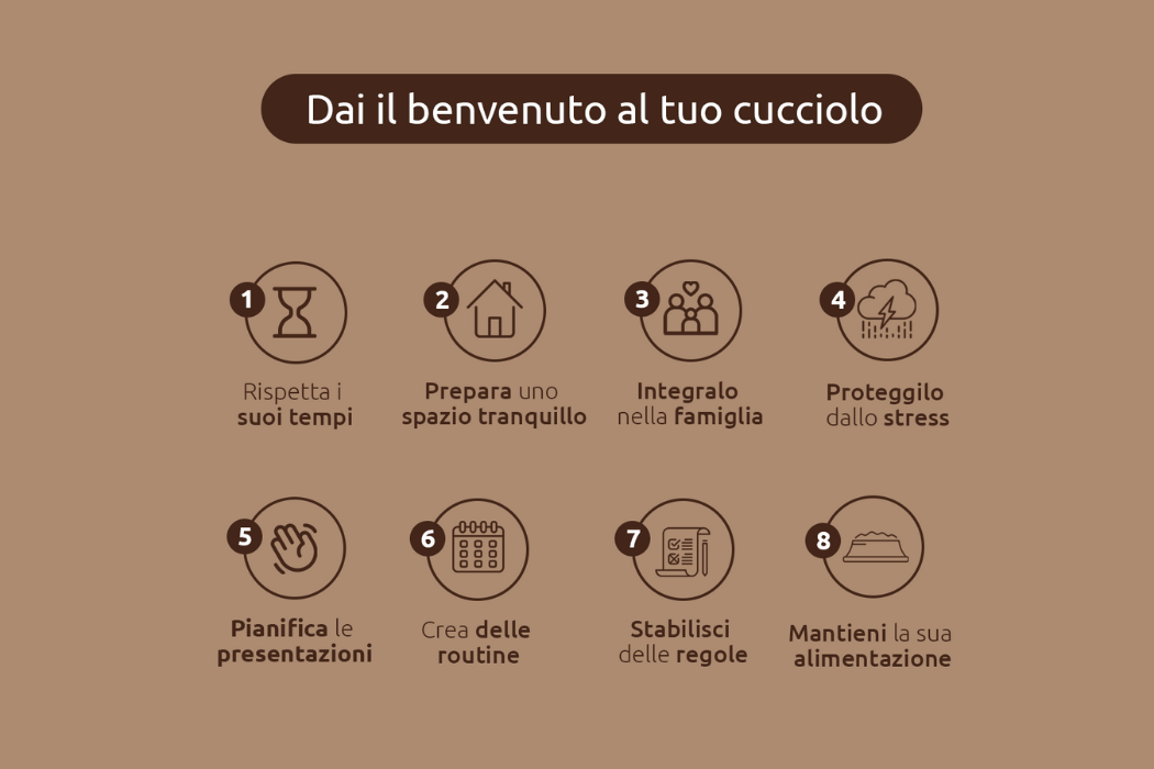 Benvenuto del tuo cucciolo