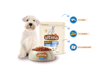 Ultima Junior per cuccioli