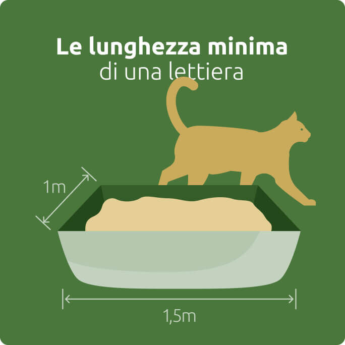 Lunghezza minima di una lettiera