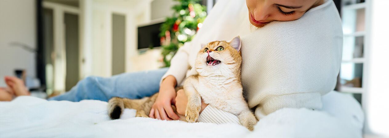 Il miagolio del gatto