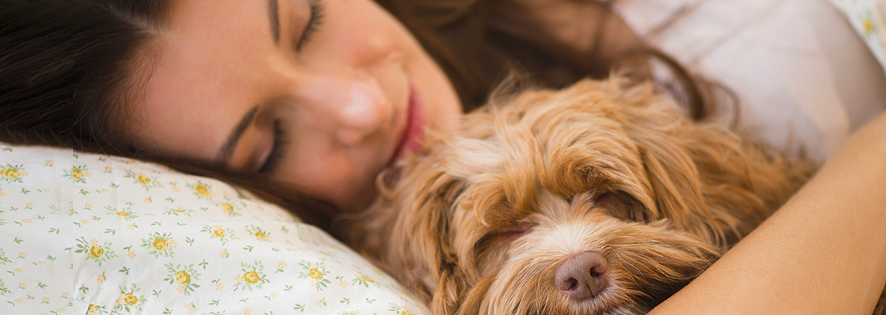 Pro e contro di dormire con il tuo cane