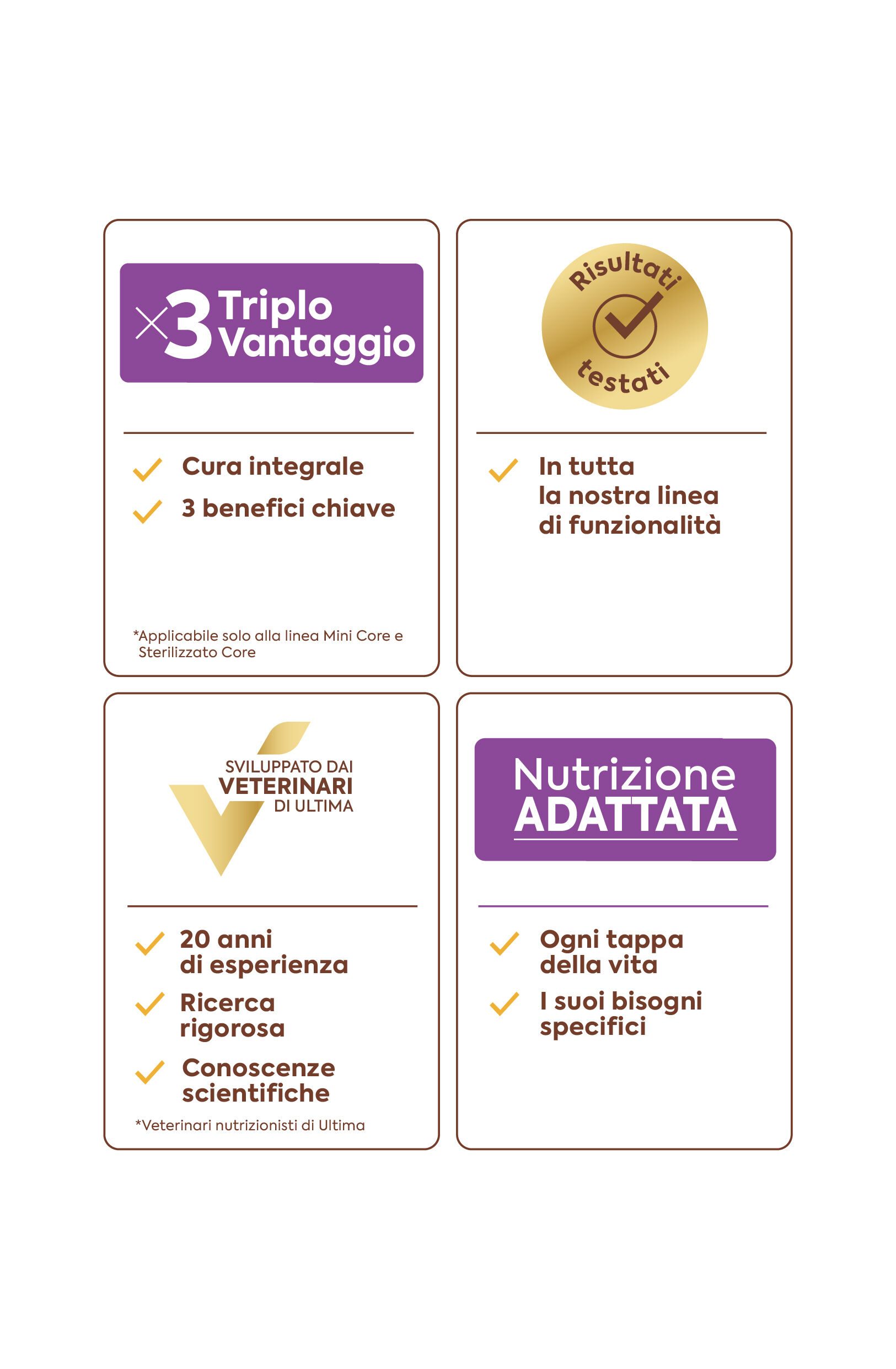 ULTIMA-Rediseño-Apartado-Pictos-web-Desktop_IT.jpg