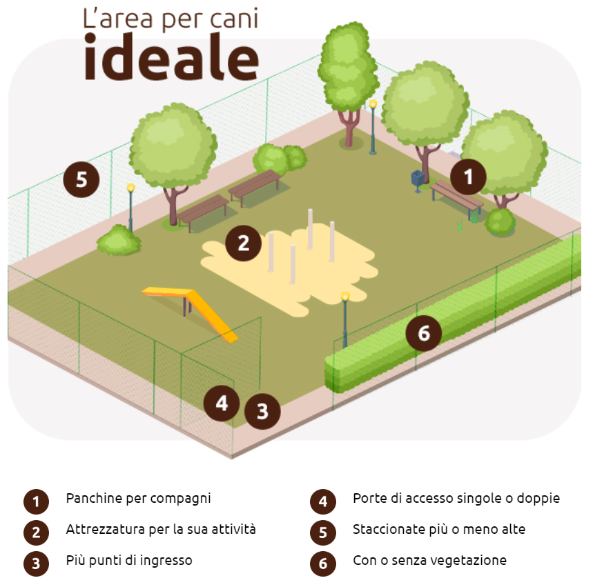 grafico che descrive le diverse aree del pipicano