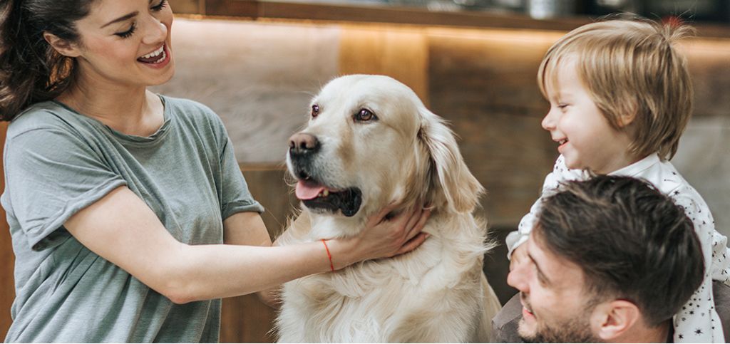 família com cachorro