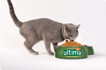 Nutri&ccedil;&atilde;o Ultima para gatos esterilizados
