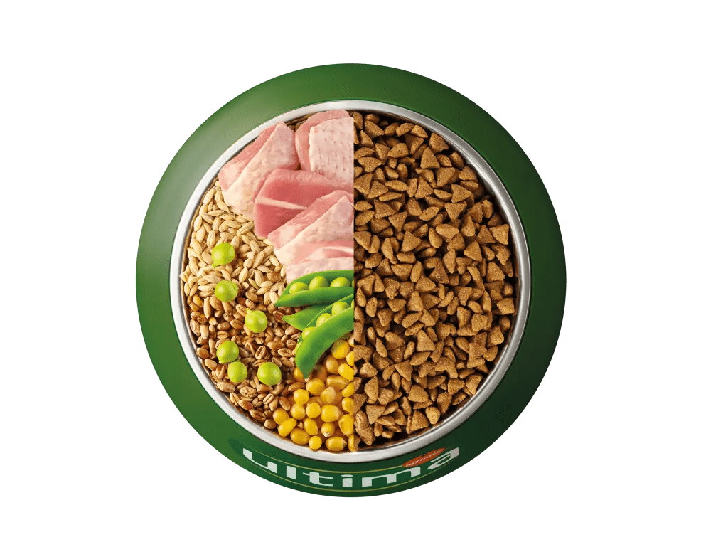 Truta, cevada, cereais integrais e ervilha