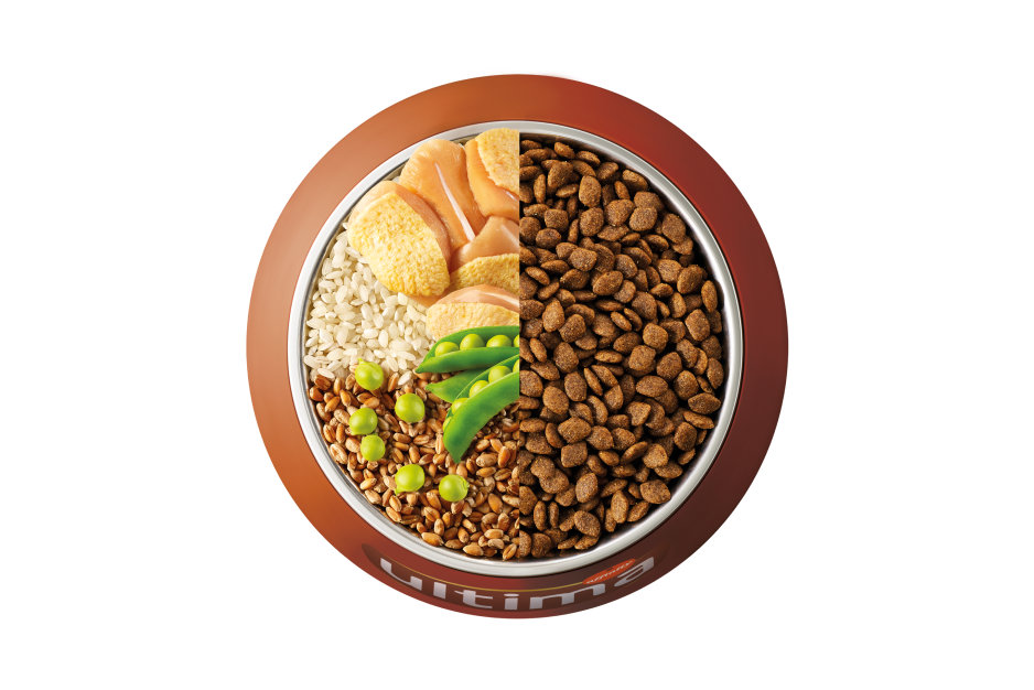 Bowl con ingredientes comida seca perro