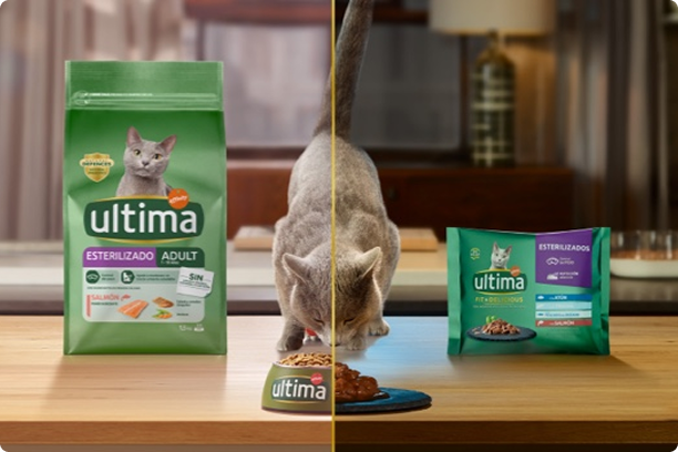 Gato esterilizado banner salud placer.png
