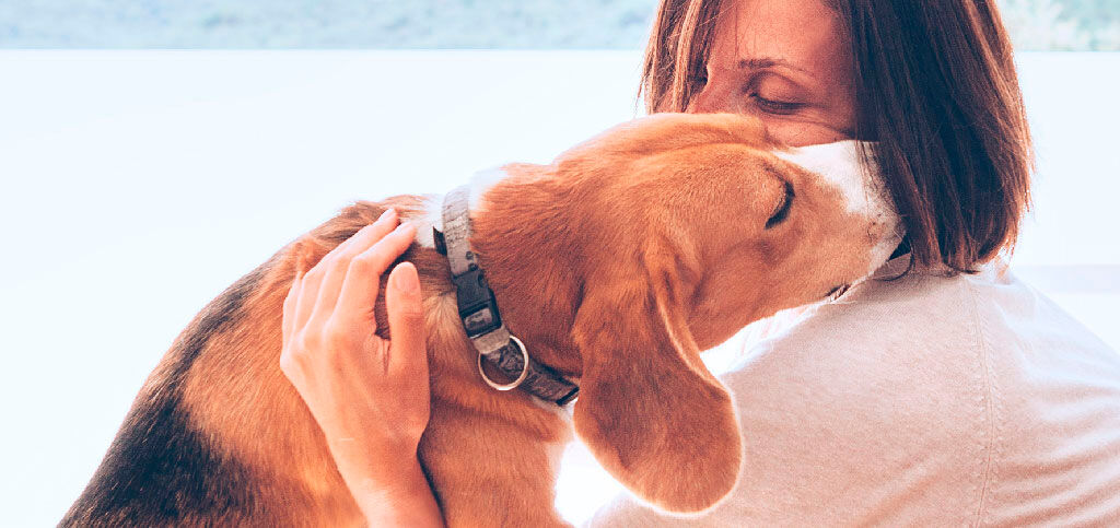 cachorro beijando mulher