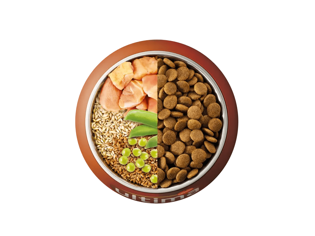 Frango, cevada, trigo integral e ervilha