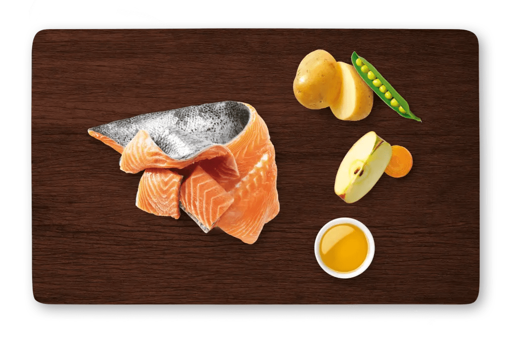 With fresh atlantic salmon, vegetables and apple