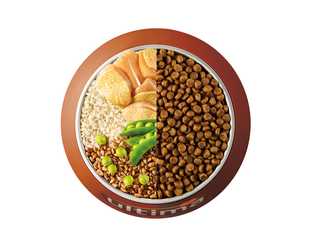 Chicken, rice, wholegrain cereals and peas