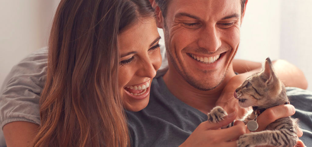 newborn kitten with family