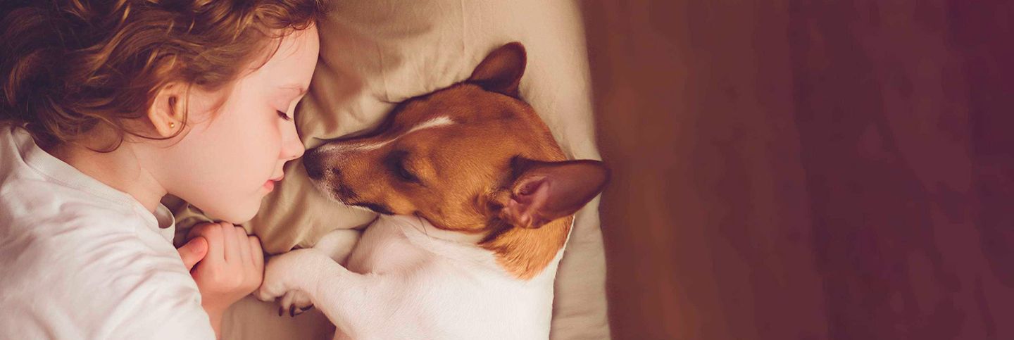 dog and kid in bed