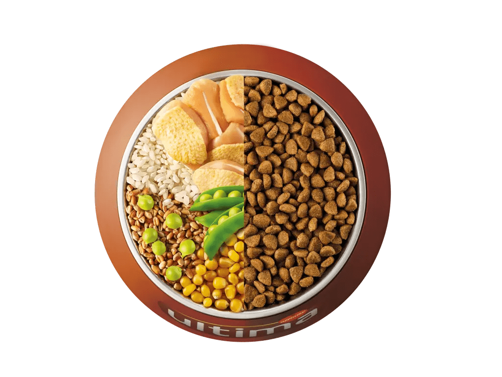 Chicken, rice, wholegrain cereals and peas