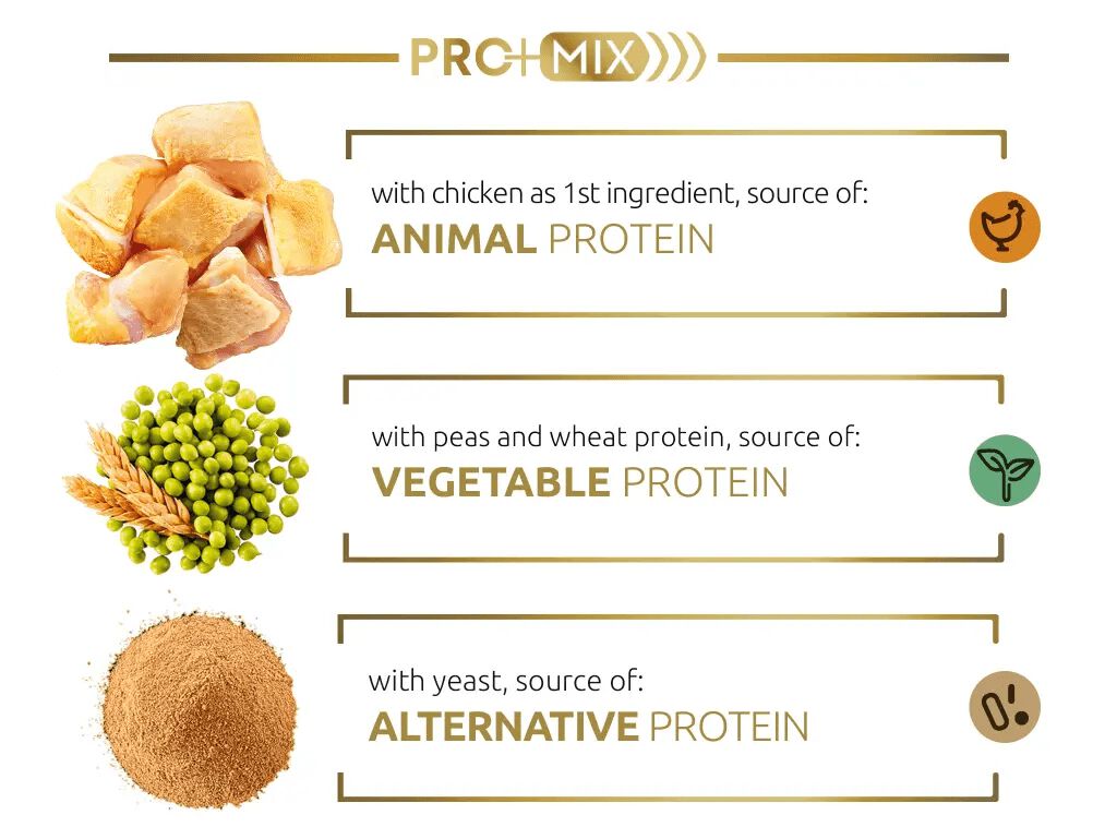 Our new innovative combination of high-quality proteins, easy to digest and that provides essential amino acids to support its muscle metabolism.
