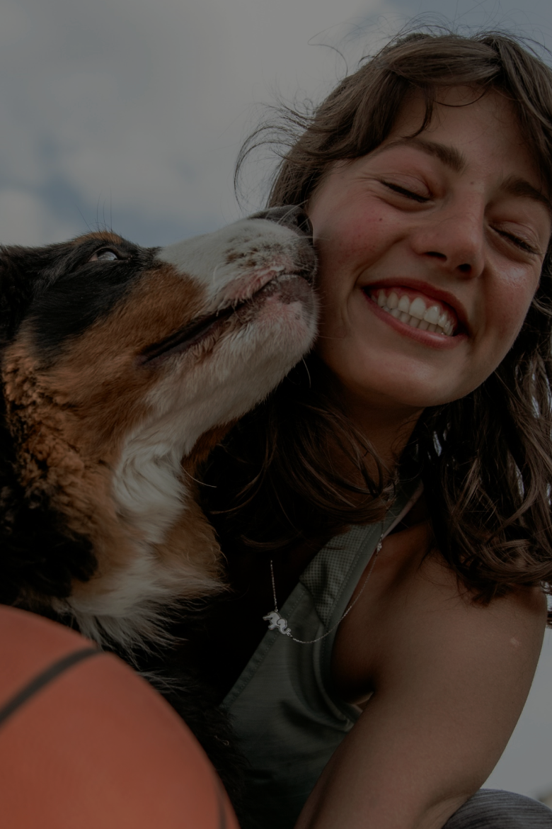 Home Ultima Header Desktop.png