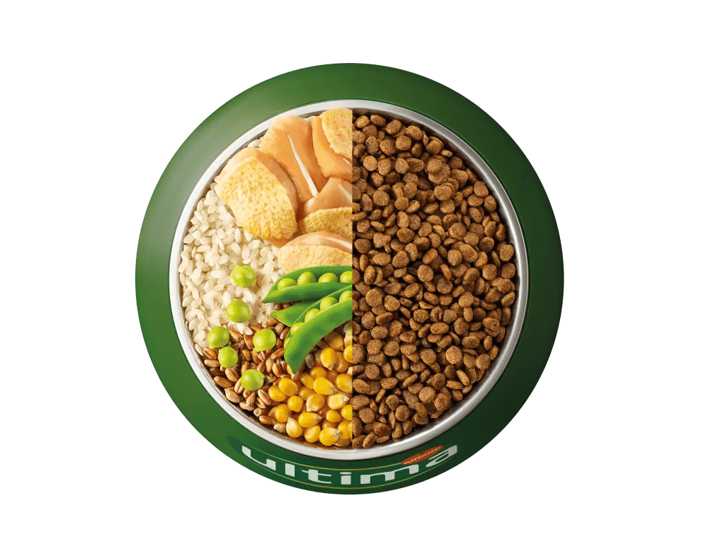 Chicken, rice, wholegrain cereals and peas