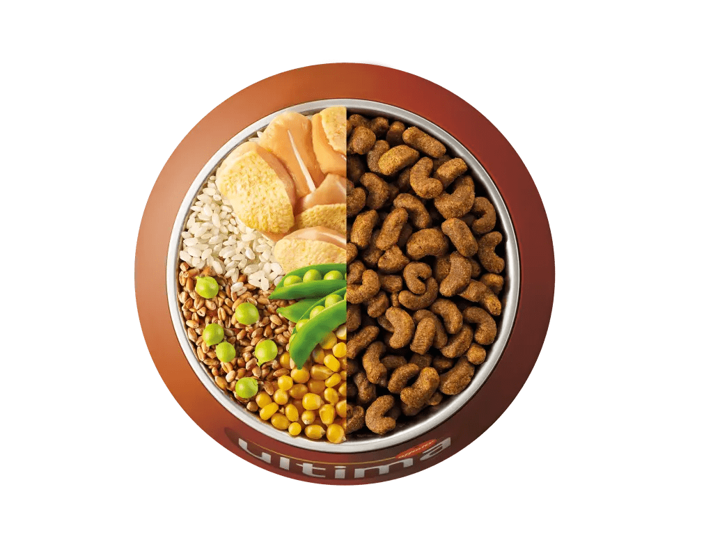 Chicken, rice, wholegrain cereals and peas