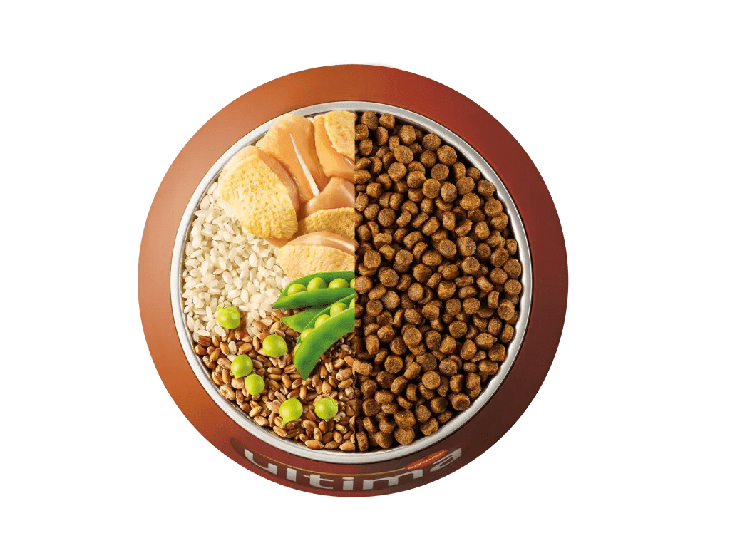 Chicken, rice, wholegrain cereals and peas