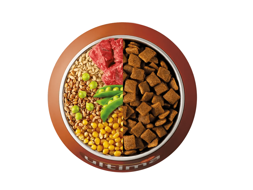 Beef, barley, whole wheat and peas