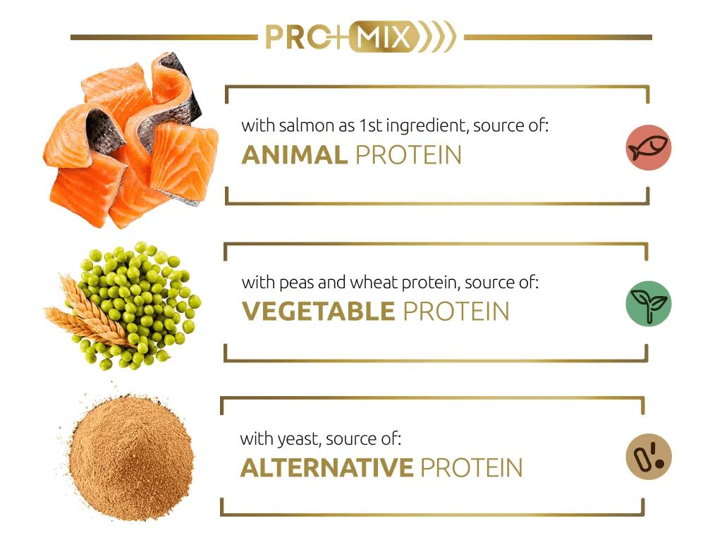 Our new innovative combination of high-quality proteins, easy to digest and that provides essential amino acids to support its muscle metabolism.