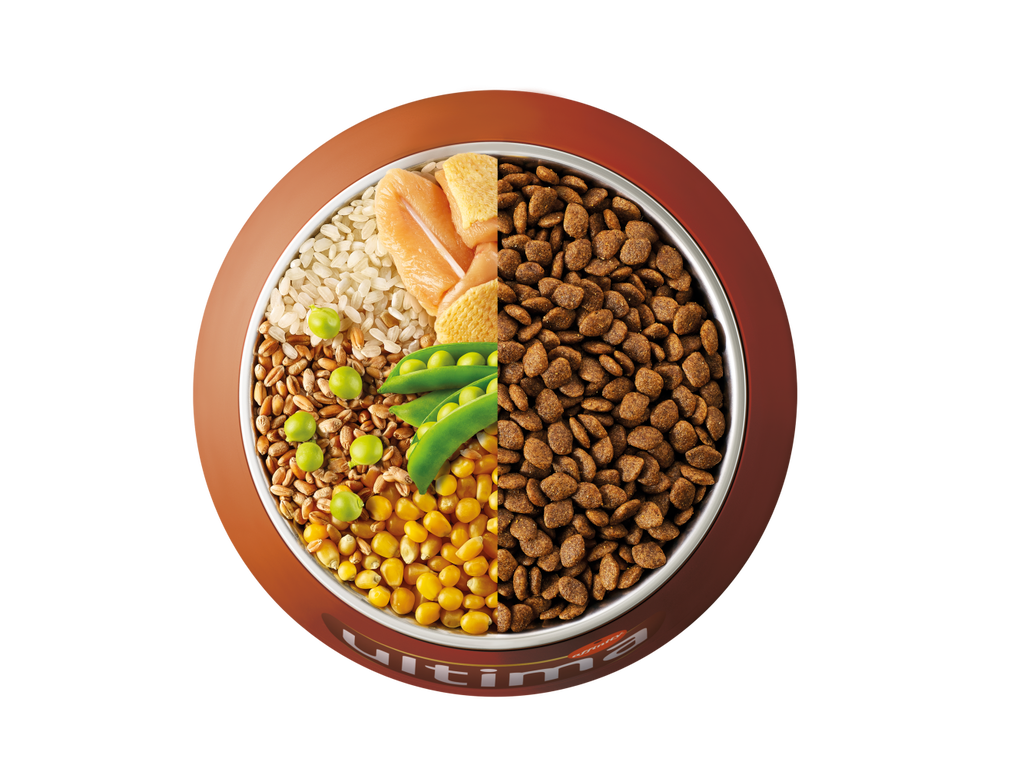 Chicken, rice, wholegrain cereals and peas