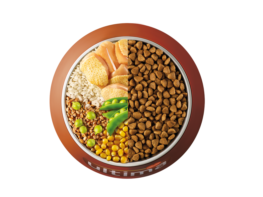 Chicken, rice, wholegrain cereals and peas