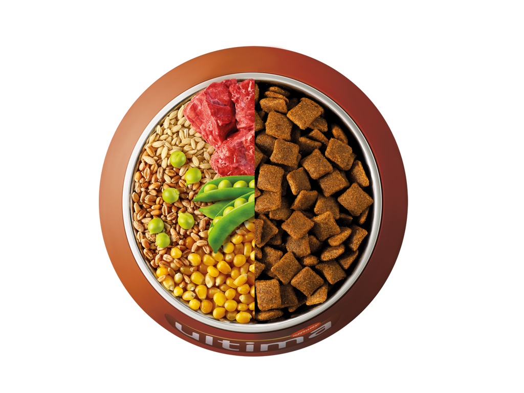 Beef, barley, whole wheat and peas