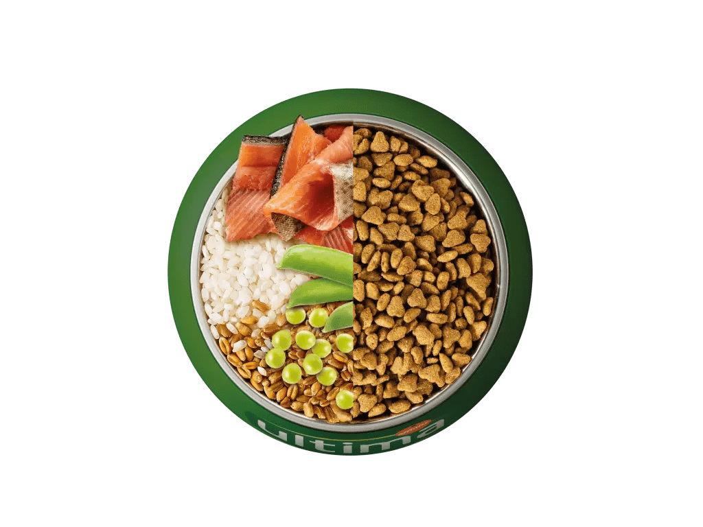 Trout, rice, wholegrain cereals and peas